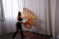 Cat_260304-1218