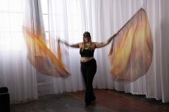 Cat_260304-1227