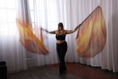 Cat_260304-1228