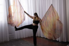 Cat_260304-1231