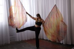 Cat_260304-1232