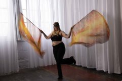 Cat_260304-1235