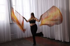 Cat_260304-1236