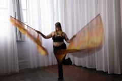 Cat_260304-1237
