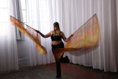 Cat_260304-1238
