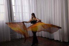 Cat_260304-1243