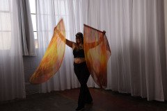 Cat_260304-1246
