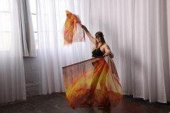 Cat_260304-1252