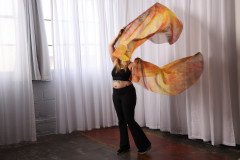 Cat_260304-1254