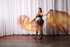 Cat_260304-1260