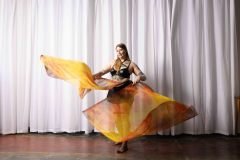 Cat_260304-1267