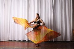 Cat_260304-1268