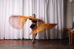 Cat_260304-1276