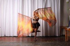 Cat_260304-1282