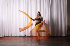 Cat_260304-1288