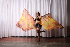 Cat_260304-1290