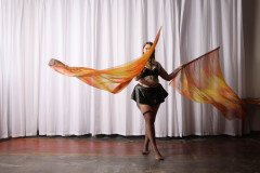 Cat_260304-1324
