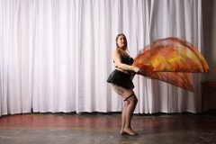 Cat_260304-1330