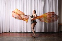 Cat_260304-1338