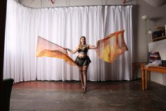 Cat_260304-1364