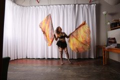 Cat_260304-1368