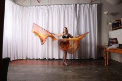 Cat_260304-1372