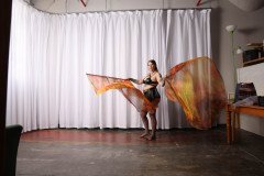 Cat_260304-1374