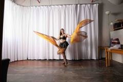 Cat_260304-1377