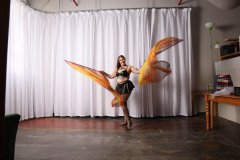 Cat_260304-1378