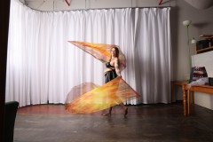 Cat_260304-1382