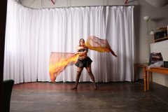 Cat_260304-1396