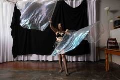 Cat_260304-1403