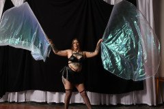 Cat_260304-1412