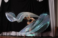 Cat_260304-1414