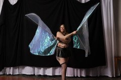Cat_260304-1420