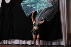 Cat_260304-1426