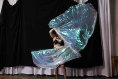 Cat_260304-1427