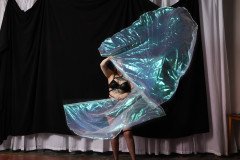 Cat_260304-1428