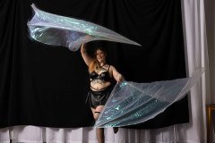 Cat_260304-1429