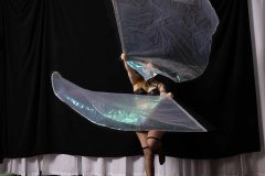 Cat_260304-1431