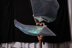 Cat_260304-1432
