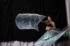 Cat_260304-1441