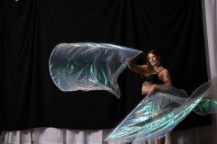 Cat_260304-1442