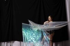 Cat_260304-1443