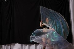 Cat_260304-1446
