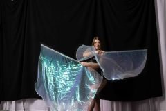 Cat_260304-1451