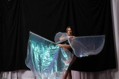 Cat_260304-1452