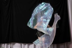 Cat_260304-1455
