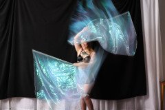 Cat_260304-1466