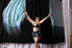 Cat_260304-1473